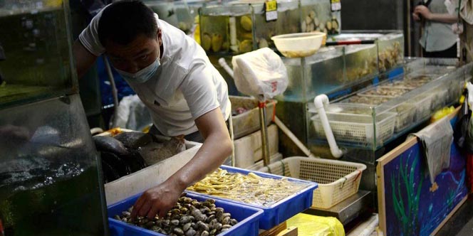 Niega Noruega que su salmón sea causa de rebrote en Pekín