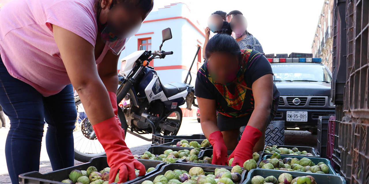 Crisis económica lacera a pequeños productores de Oaxaca | El Imparcial de Oaxaca