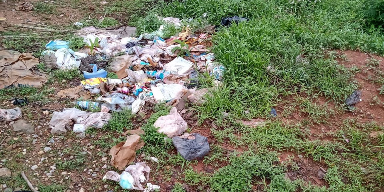 Tiran residuos infecciosos en vía pública de Huajuapan | El Imparcial de Oaxaca