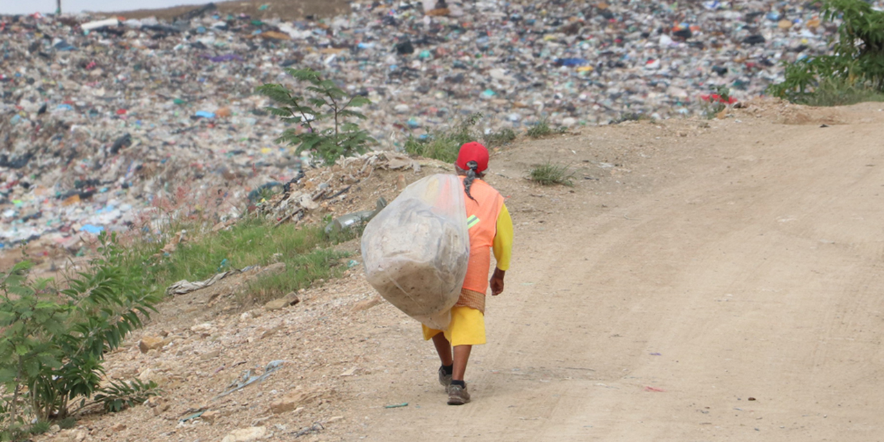 Pepenar la basura: labor de riesgos y bajos ingresos | El Imparcial de Oaxaca