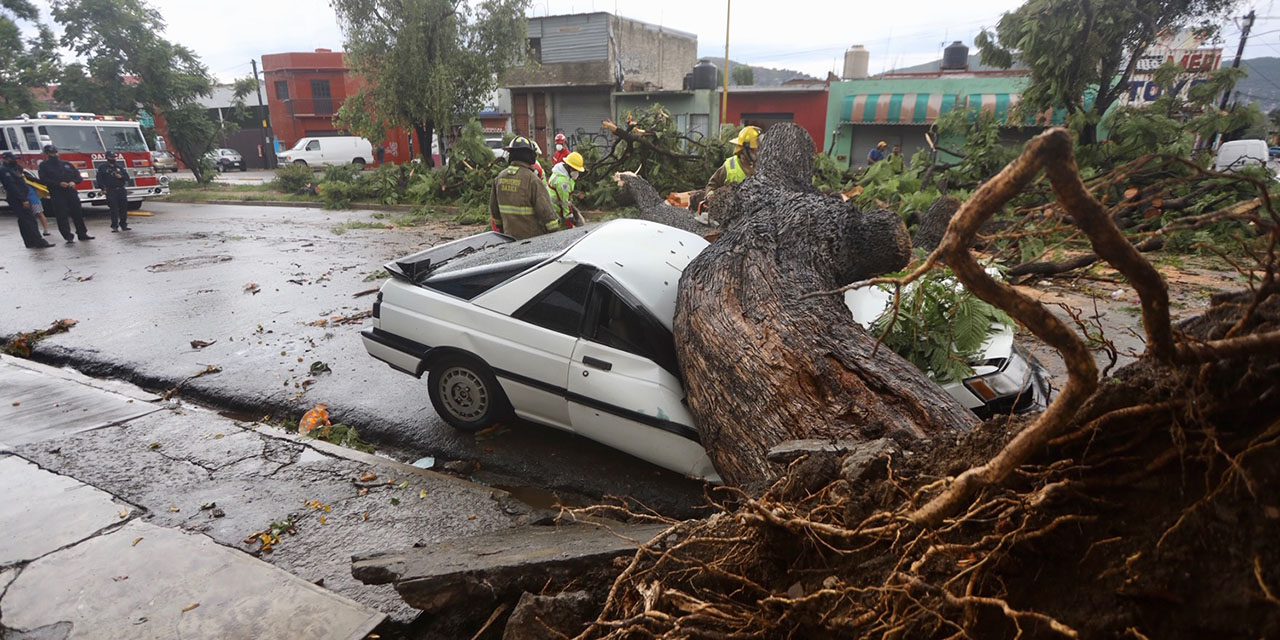 Lluvia causa caída de árboles y apagones en Oaxaca | El Imparcial de Oaxaca