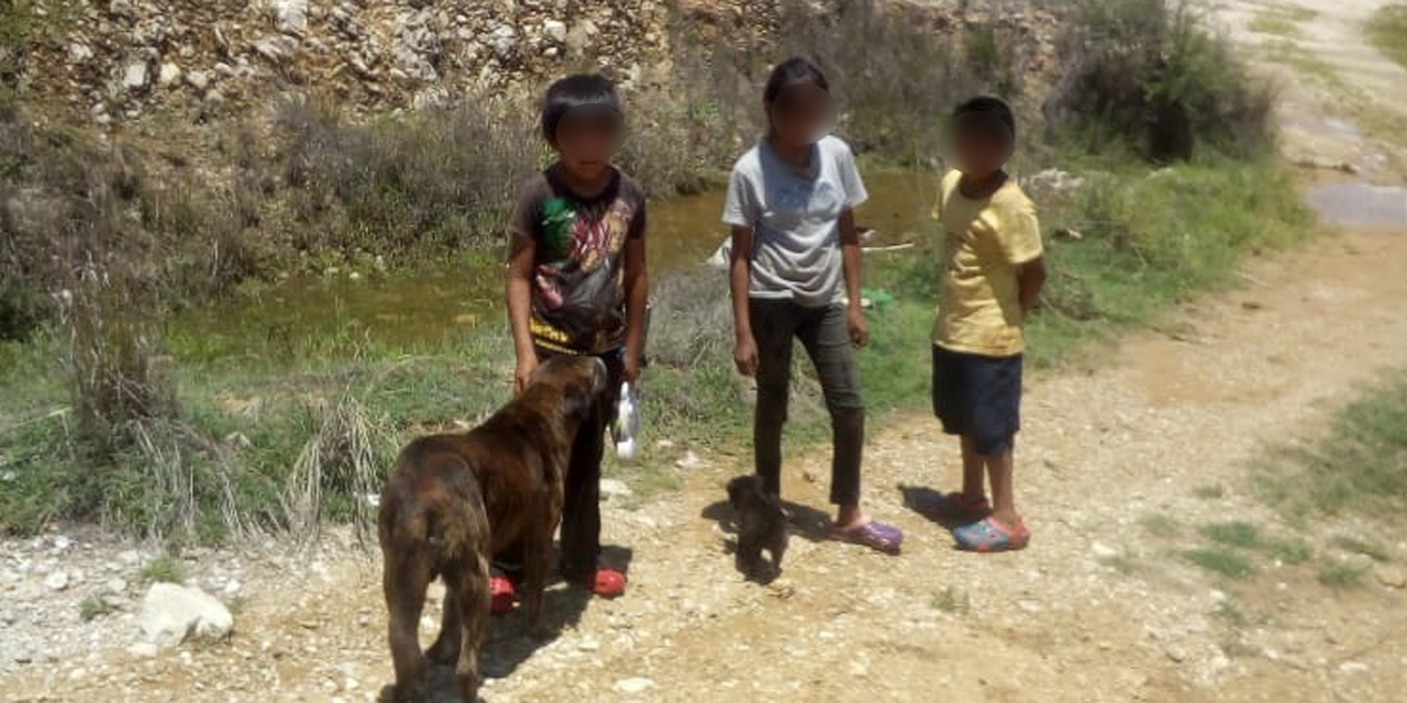 Movilización policíaca por menores extraviados en Atzompa | El Imparcial de Oaxaca