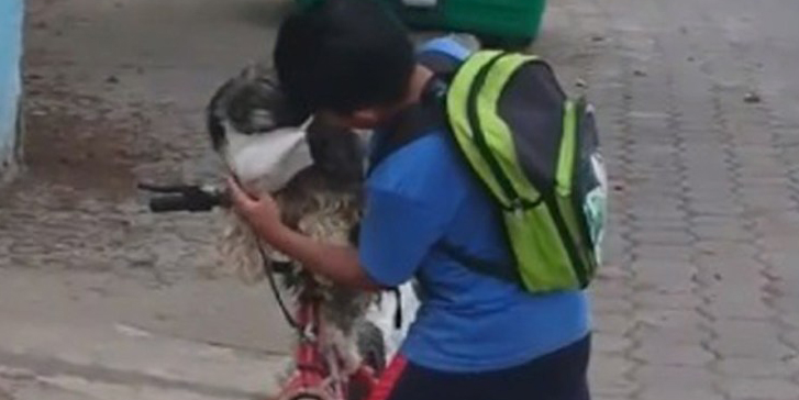 Video: Niño pone a su mascota cubrebocas para protegerlo del Covid-19