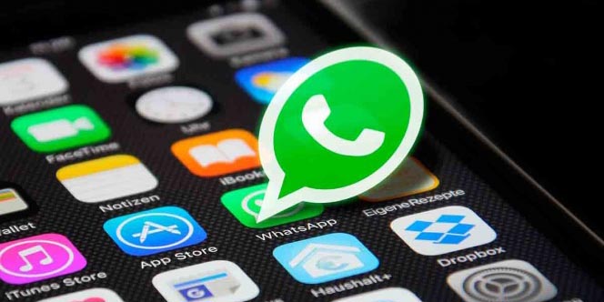 Nueva función en WhatsApp: QR para añadir contactos | El Imparcial de Oaxaca