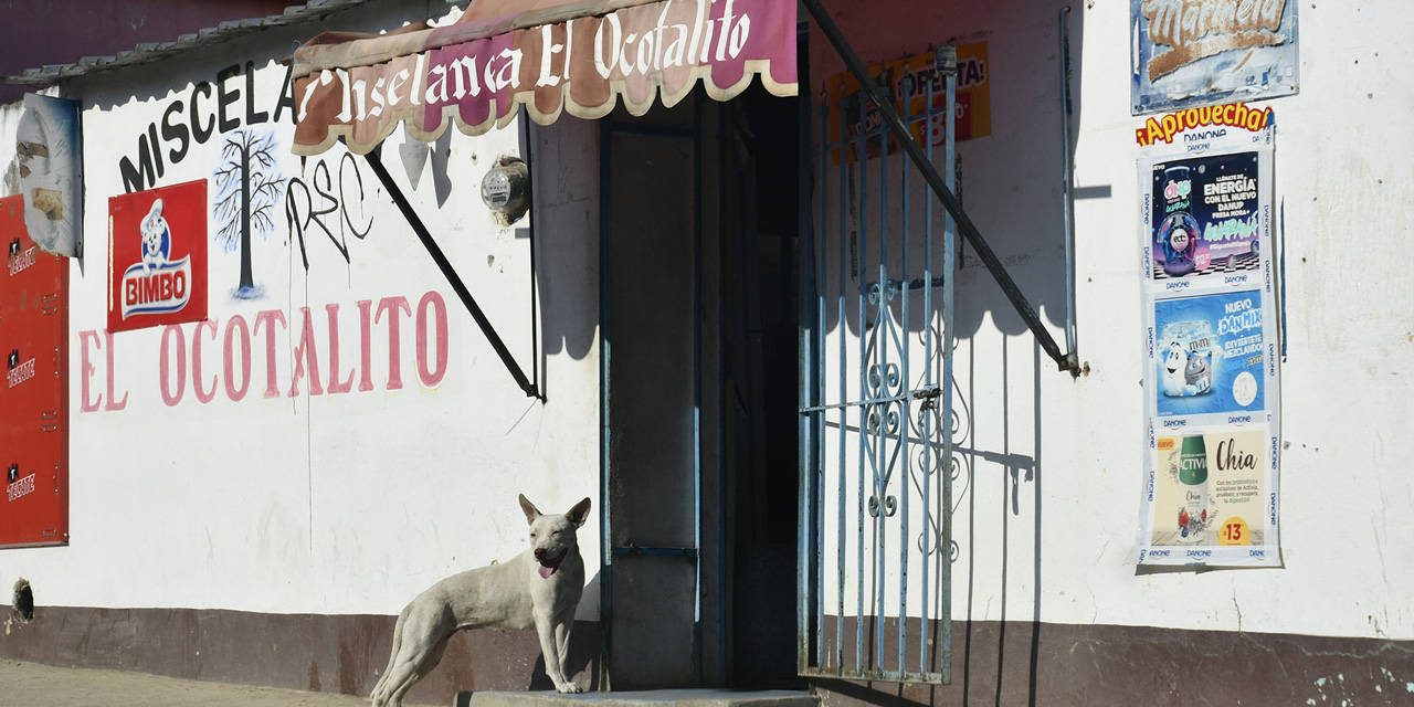 En Oaxaca domina la informalidad laboral | El Imparcial de Oaxaca