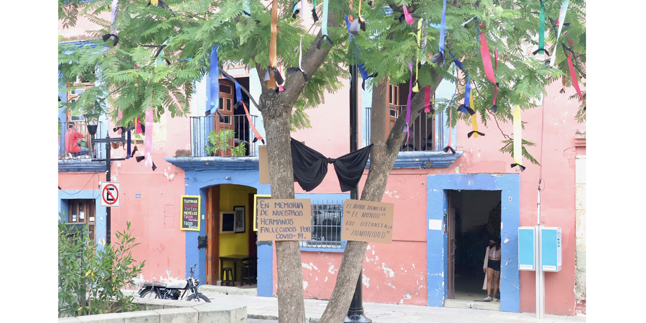 Listones de colores y moño negro; memorial de muertes por Covid-19 en Oaxaca | El Imparcial de Oaxaca