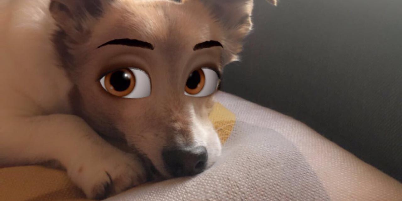 Snapchat convierte a tu perro en un personaje de Disney | El Imparcial de Oaxaca