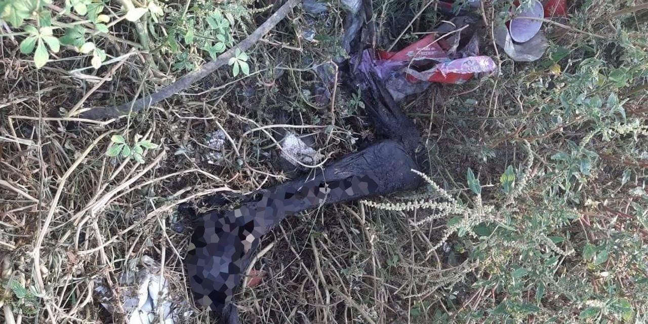 Hallan una pierna humana calcinada en Salina Cruz | El Imparcial de Oaxaca Hallan una pierna humana calcinada en Salina Cruz | El Imparcial de Oaxaca