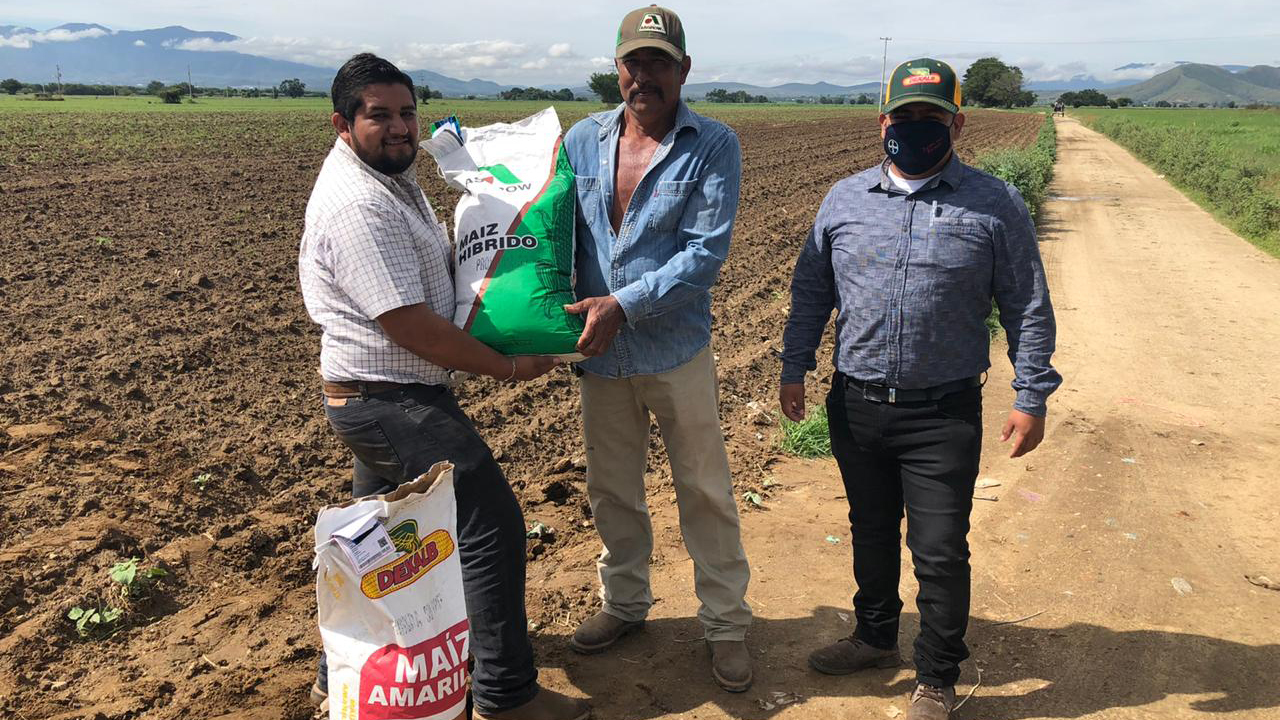 Apoya Bayer a pequeños productores de Oaxaca