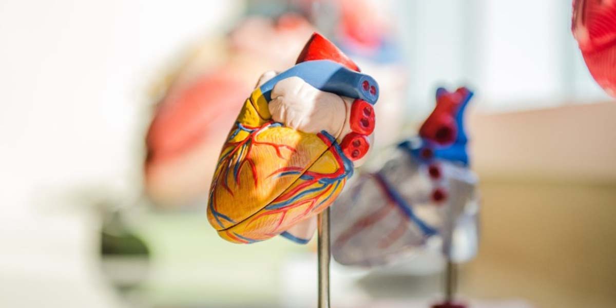 Una de cada cinco personas en el mundo puede padecer insuficiencia cardiaca