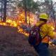 Incendios forestales en Oaxaca devoran más de 18 mil hectáreas