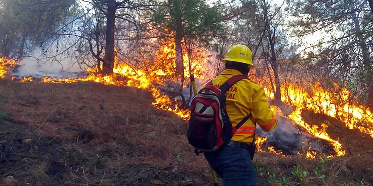 Incendios forestales en Oaxaca devoran más de 18 mil hectáreas | El Imparcial de Oaxaca