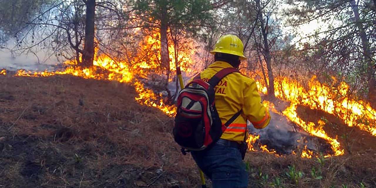 Oaxaqueños se van a combatir incendios en EUA