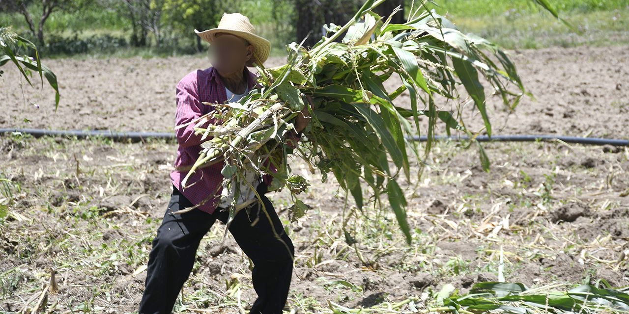 Apoyo a campesinos fracasa en Oaxaca | El Imparcial de Oaxaca