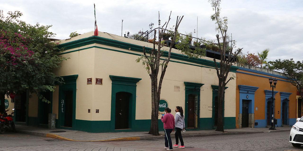 Exigen frenar la poda de árboles en Oaxaca | El Imparcial de Oaxaca