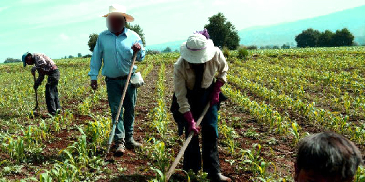 Gobierno federal abandona al campo | El Imparcial de Oaxaca