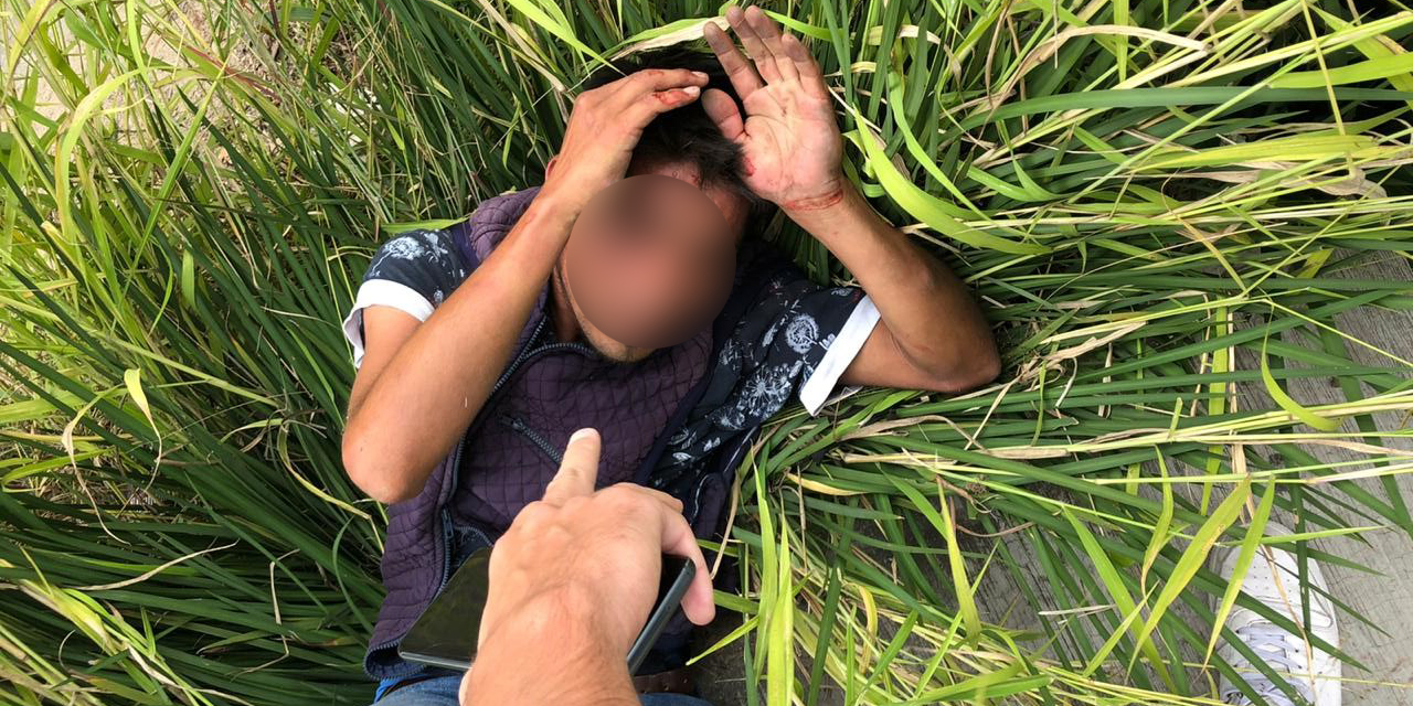 Dan golpiza a ladrón de gelatina en San Felipe del Agua | El Imparcial de Oaxaca Dan golpiza a ladrón de gelatina en San Felipe del Agua | El Imparcial de Oaxaca