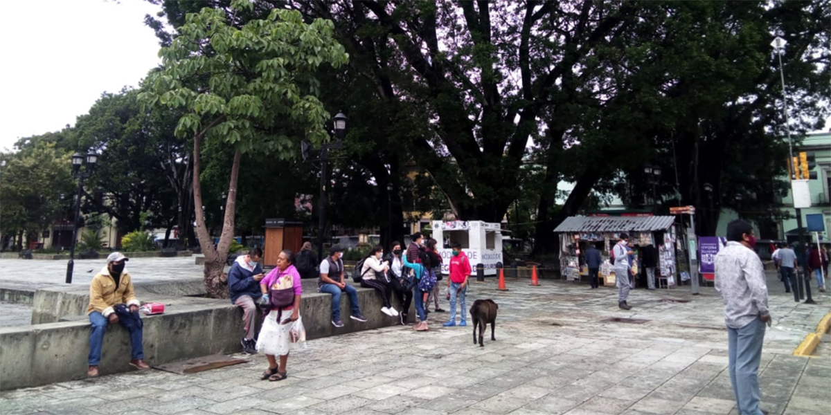 Tras caída de árboles, restringen acceso al zócalo capitalino