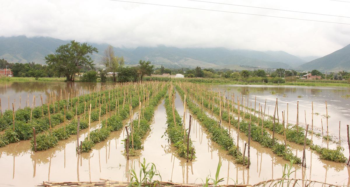 Desampara 4T a campesinos afectados por lluvias en Oaxaca | El Imparcial de Oaxaca