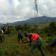 Finaliza reforestación en Zapotitlán Palmas, por elementos de la Sedena