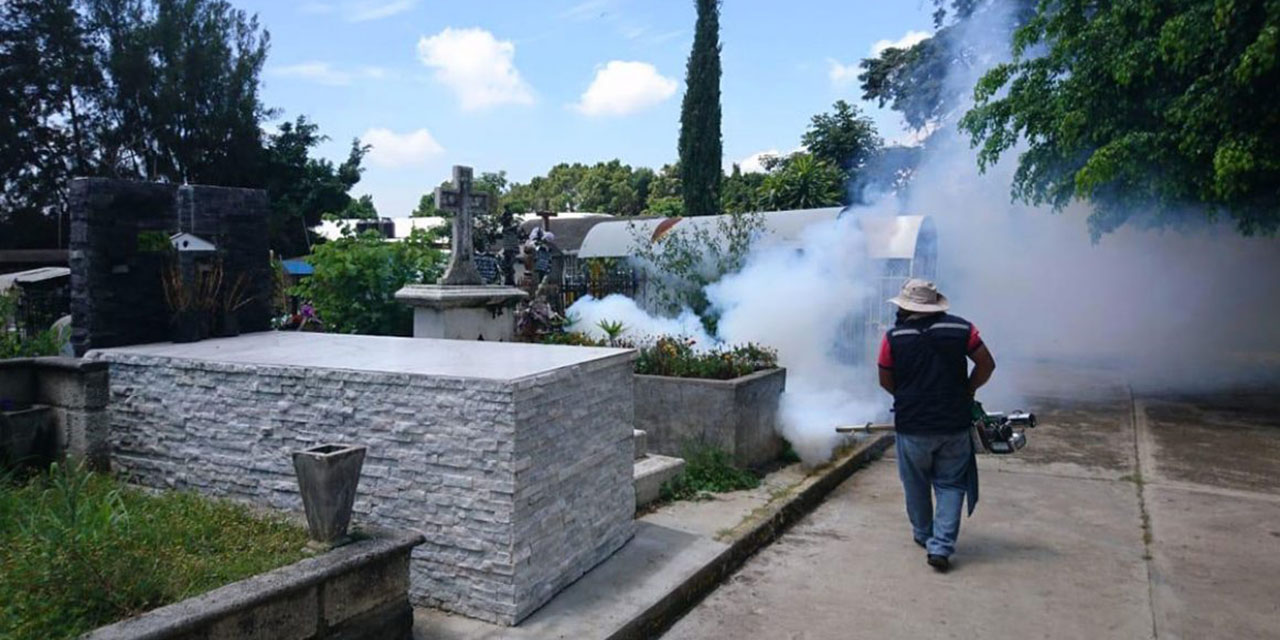 Combaten dengue y zika en panteones de Oaxaca | El Imparcial de Oaxaca
