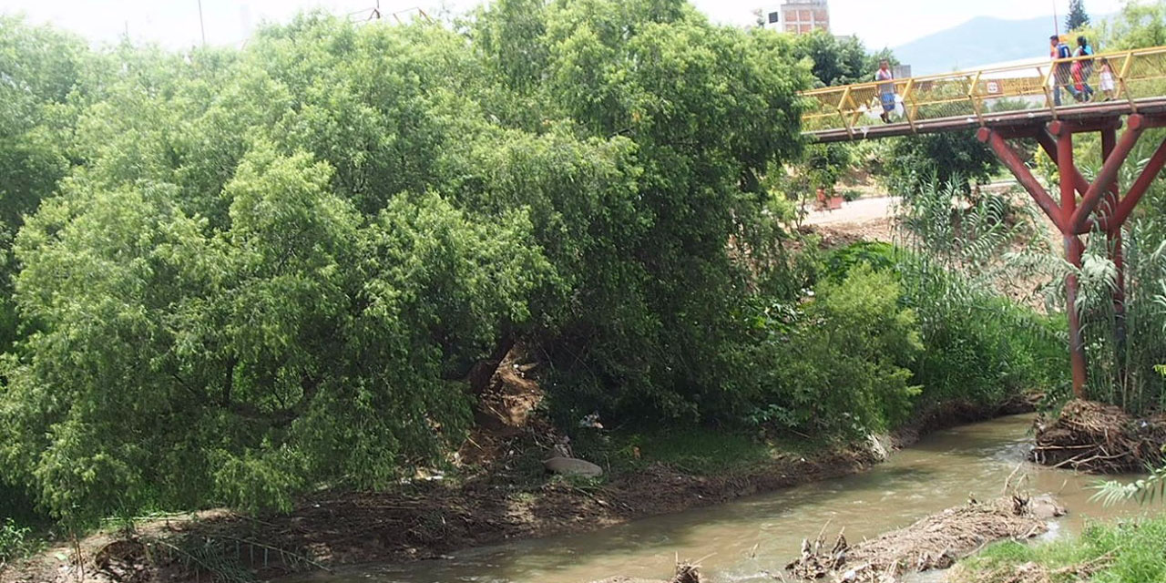 Desaparece la Procuraduría Ambiental en Oaxaca