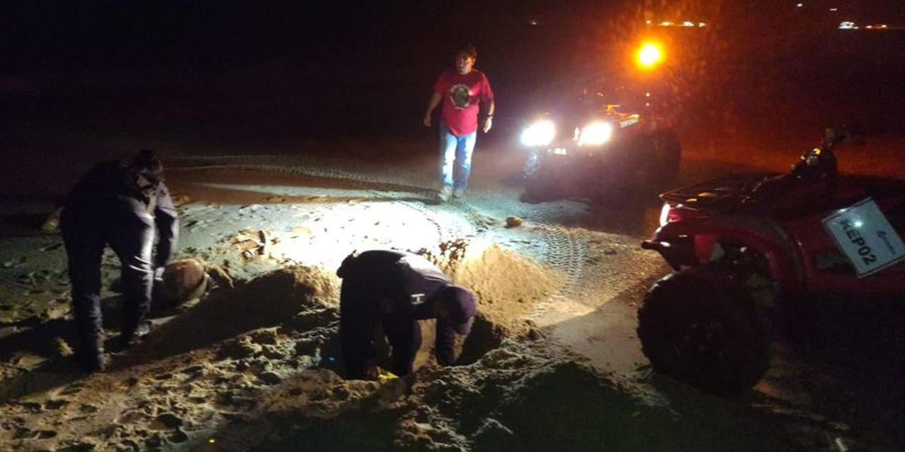 Aparecen cuatro tortugas muertas en Playa Abierta