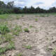 Ocultan Sedapa y Sader información  de daños al campo por lluvia y sequía