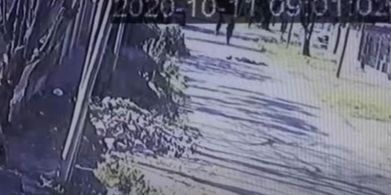 Video: Hombre desarma al ladrón que intentó robarle y lo termina por matar