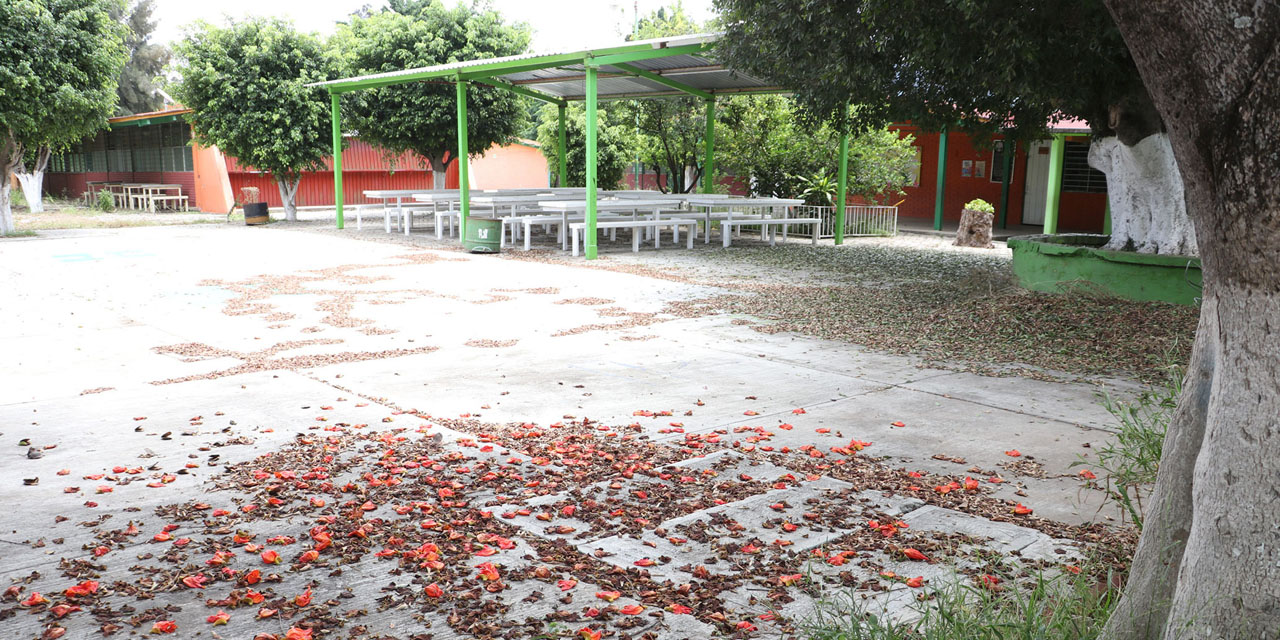 Escuelas de Oaxaca en el olvido por la pandemia