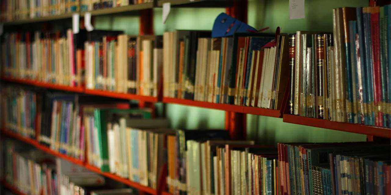 Bibliotecas en Oaxaca,  con grandes carencias