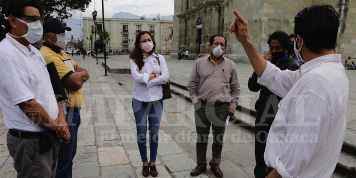 Analizarán estado físico del arbolado en el zócalo capitalino | El Imparcial de Oaxaca