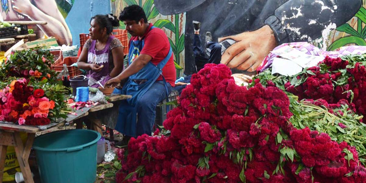 Cancela Miahuatlán festejos de Día de Muertos ante Covid