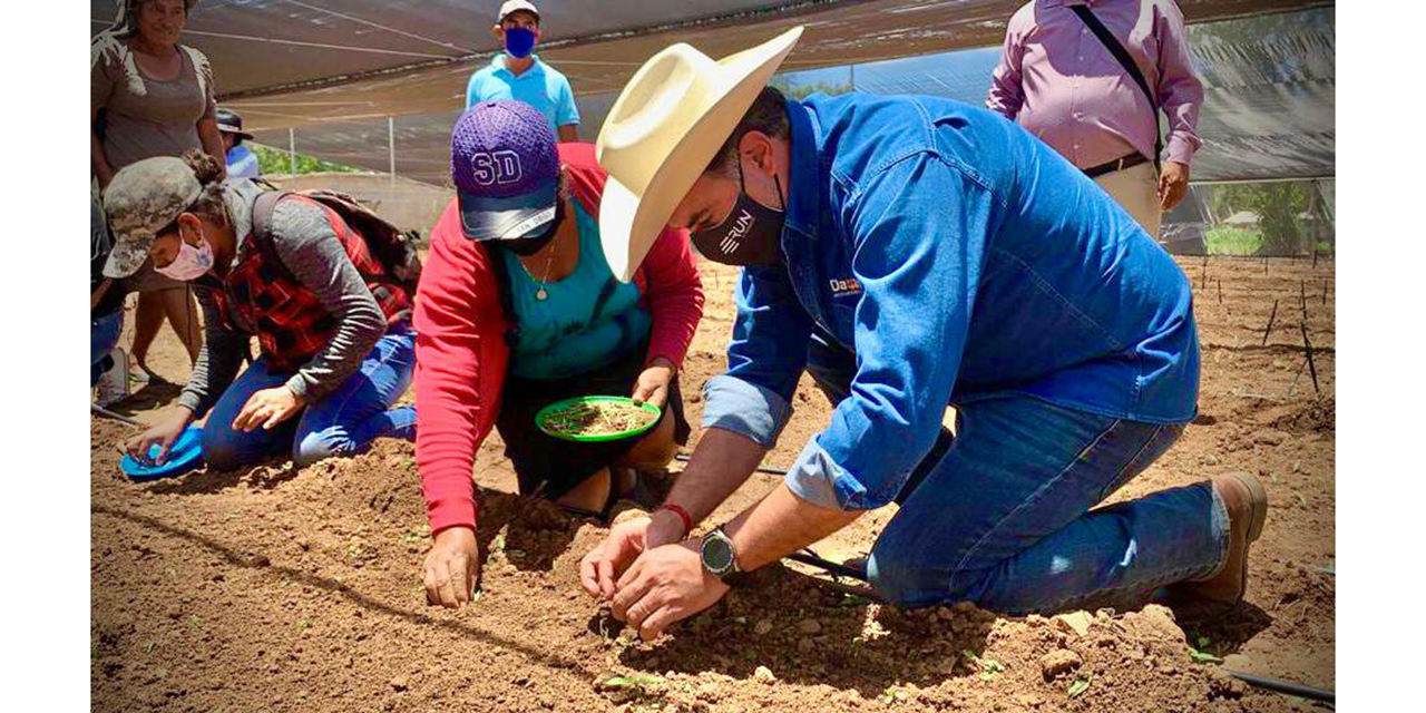 Oaxaca se consolida en exportación agroalimentaria | El Imparcial de Oaxaca