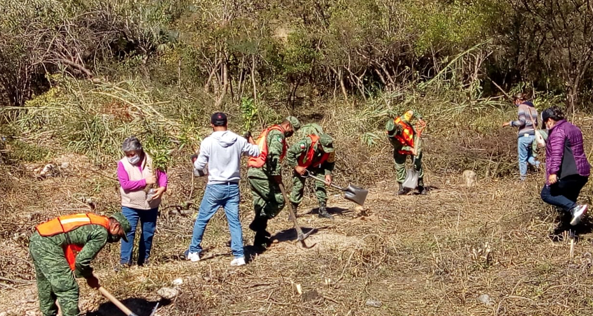 Se suma Ejército a reforestación en Huajuapan de León, Oaxaca