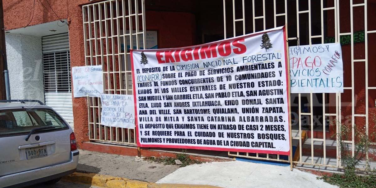 Exigen a Conafor liberar recursos a comunidades | El Imparcial de Oaxaca