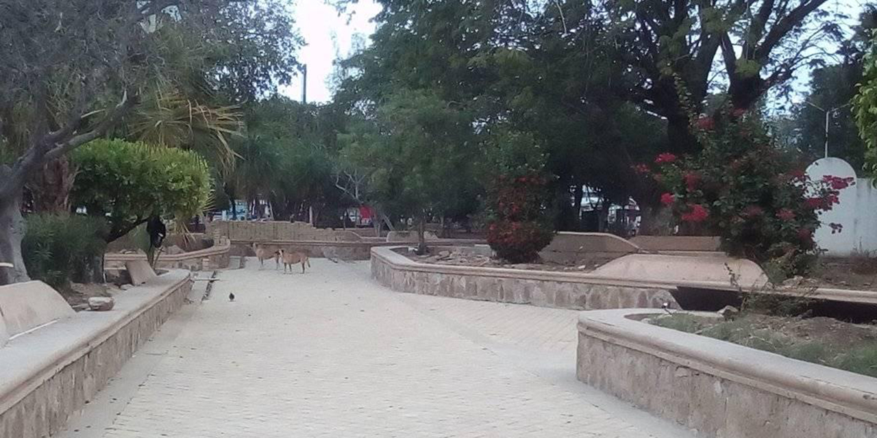 Parques de Salina Cruz hechos basureros | El Imparcial de Oaxaca