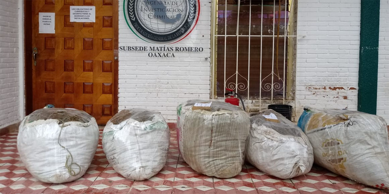 Decomisan mariguana en Matías Romero | El Imparcial de Oaxaca