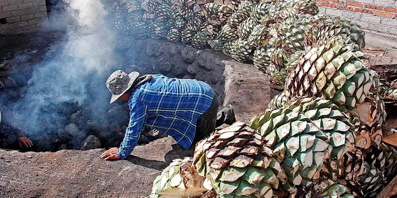 CEMMEZ pide proteger la identidad del mezcal