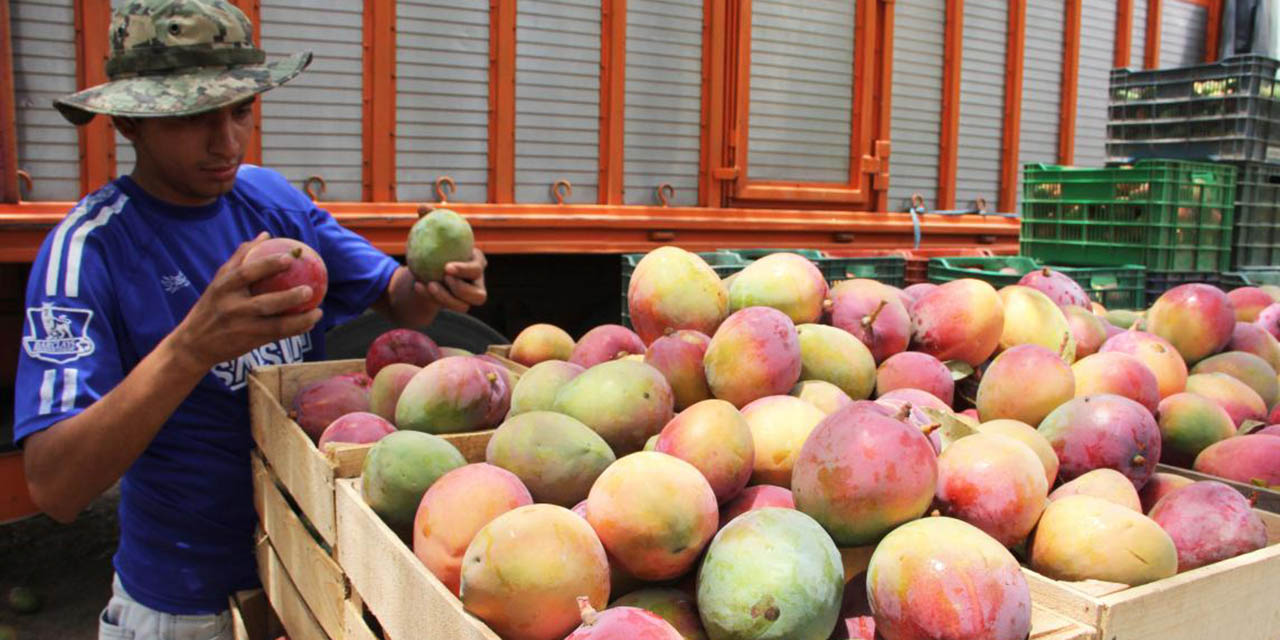 Crecen exportaciones a Canadá de productos oaxaqueños