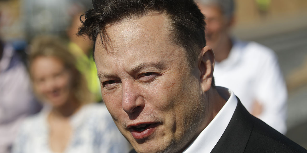 No es necesario tener un título universitario para poseer “una habilidad excepcional”: Elon Musk | El Imparcial de Oaxaca
