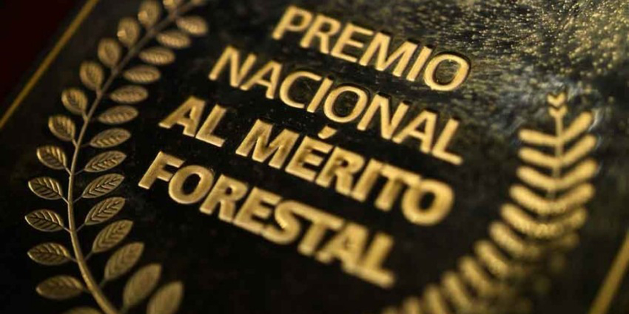 “Va Por México” fracasa en Oaxaca