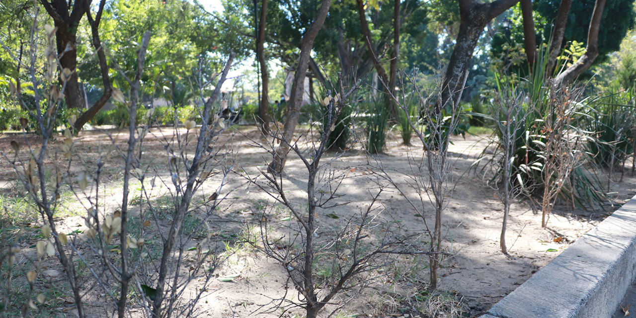 Parques y jardines de Oaxaca en el abandono