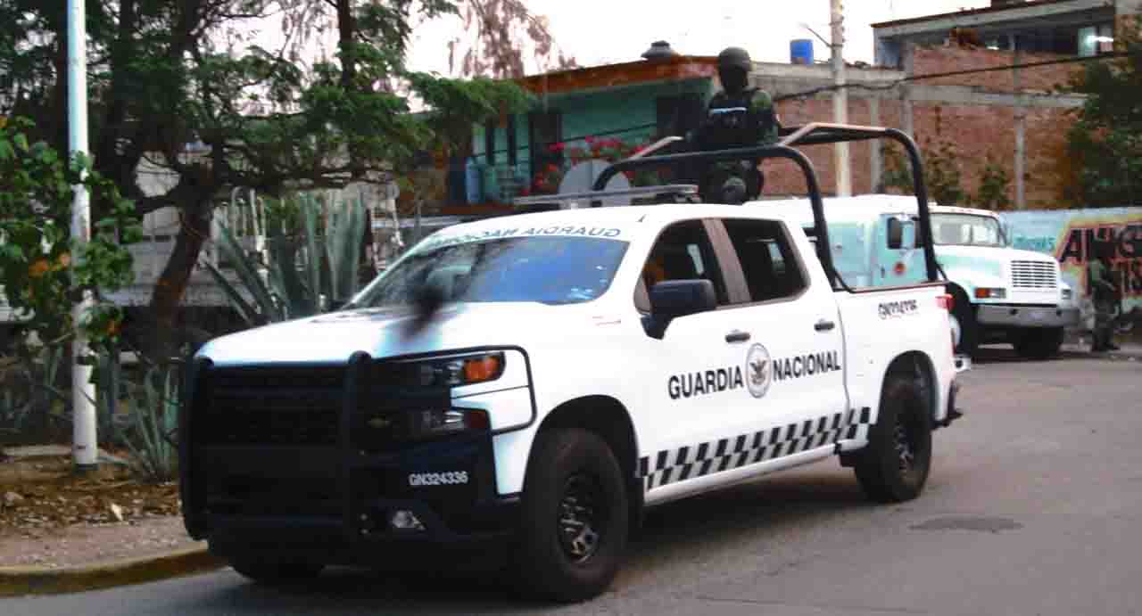 Ratas en mototaxi