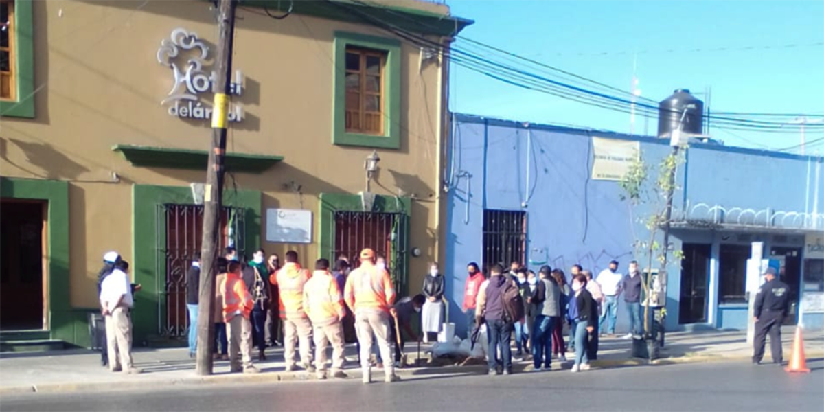 Demandan autoridades atender arbolado urbano | El Imparcial de Oaxaca