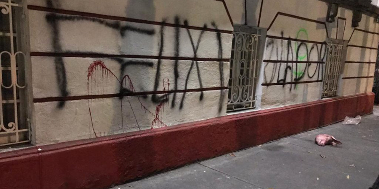 Video: Opositores a la 4T vandalizan y dejan cabezas de cerdos frente a la sede de Morena | El Imparcial de Oaxaca