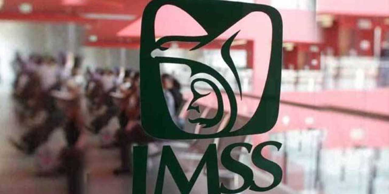 Sindicato libre del IMSS exige reconocimiento | El Imparcial de Oaxaca