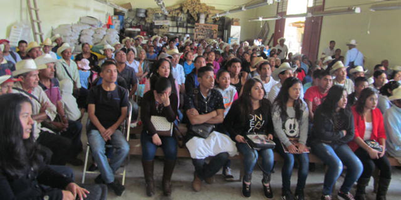 Covid-19 y desempleo, el panorama de profesionistas en la zona mazateca | El Imparcial de Oaxaca