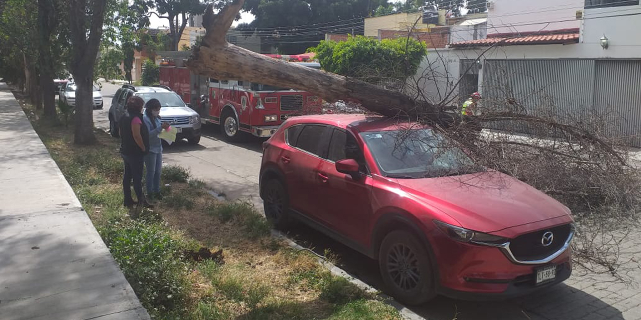Se incendia vehículo sobre carretera 131