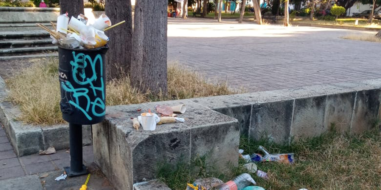 Acumulan 59 detenciones por tirar basura en vía pública de Oaxaca | El Imparcial de Oaxaca